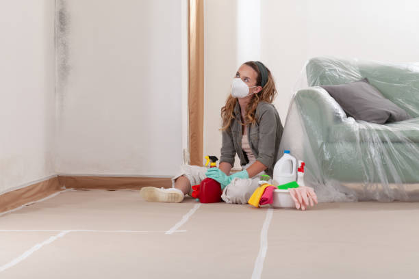 Reliable Commercial Mold Remediation contractor in Irvona, PA by WQB Mold Removal